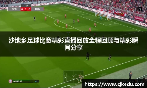 安信13娱乐