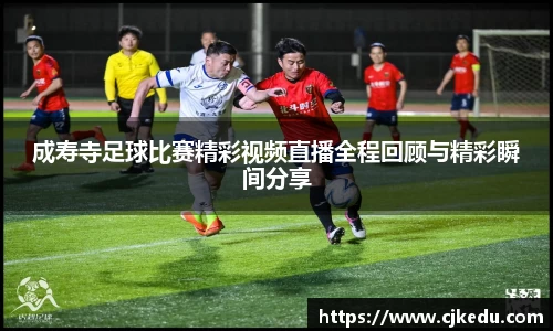 安信13娱乐