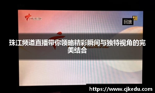 安信15娱乐